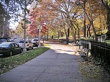 A walkway bounded by trees on the right with parked cars along a road on the left