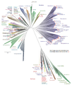 Image 81A 2016 metagenomic representation of the tree of life using ribosomal protein sequences. The tree includes 92 named bacterial phyla, 26 archaeal phyla and five eukaryotic supergroups. Major lineages are assigned arbitrary colours and named in italics with well-characterized lineage names. Lineages lacking an isolated representative are highlighted with non-italicized names and red dots. (from Marine prokaryotes)