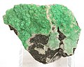Genthite (antigorite) from Wood's Chrome Mine. The bright green, lustrous antigorite richly covering this specimen has an unusual knobby/bubbly/drusy form.