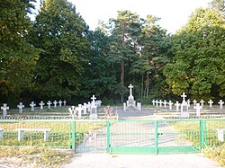 Polish war cemetery from World War II in Guźnia