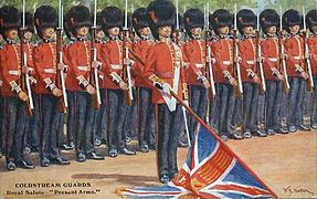 "Coldstream Guards on parade in ceremonial uniform"