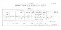 A Jersey birth certificate