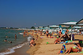 Golden beach of the Black Sea coast