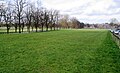 Knavesmire from South Bank