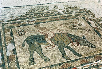 Mosaic in the House of the Athlete