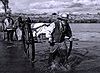Pioneers crossing Platte River