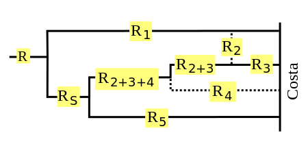 Radial forks diagram Limoniidae: Nematocera
