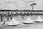 Encampment of soldiers and horses, c1899 (possibly a Boer War contingent) [gallery 4]