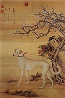 One of a series in Ten Prized Dogs, painted by the Giuseppe Castiglione