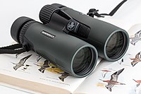 Roof prism binoculars, with the eyepiece in line with the objective