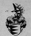 Wappen von Heinrich von Hailfingen dem Unbezunten