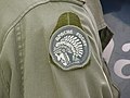 Apache Flight badge, 2CFFTS
