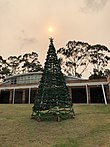 A tree set on brown grass due to the drought and water restrictions and a smokey sky from the bushfires around Sydney and all along the coast
