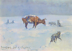 Waiting for a Chinook, by C.M. Russell. Overgrazing and harsh winters were factors that brought an end to the age of the open range.