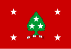 Flag of the governor