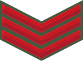 Sergeant (Guyana Army)[46]