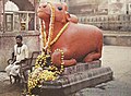 Bull statue (Varanasi, India, 1914)