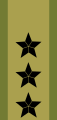Generalløytnant[39] (Norwegian Army)
