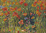 Robert Vonnoh: Poppies, 1888