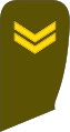 Seržantas (Lithuanian Land Force)[58]