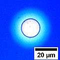 Rundes Loch in einem etwa 100 nm dicken Polystyrol-Film. Die Farbe kodiert die Filmdicke.