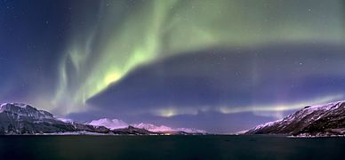 View of the fjord under the northern lights