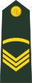 Sergeant (Bengali: সার্জেন্ট, romanized: Sārjēnṭa) (Bangladesh Army)[28]