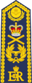 Marshal of the RAF shoulder board