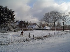 Farmhouses in winter in Broekhoven, near Riethoven