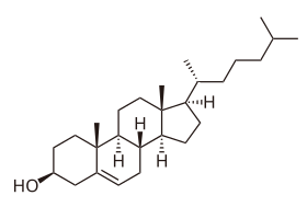 Chemical structure of cholesterol