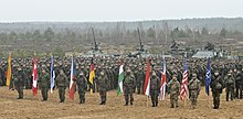 Frontale Farbfotografie von einer aufgereihten Armee auf einem Feld. Im Vordergrund stehen mehrere Soldaten mit Flaggen der NATO-Mitglieder und einer NATO-Flagge. Im rechten Hintergrund stehen Panzer.