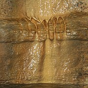 Flowstone in Mystery Cave, Minnesota