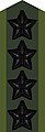 Collar patch m/58 (black m/02) on field uniform M90 (2002–present)