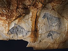 The horse panel of the Cosquer cave
