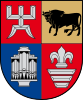 Coat of arms of Rokiškis District Municipality