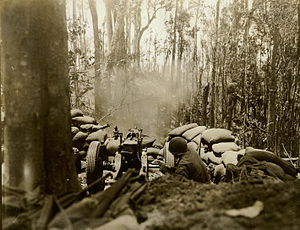 Black and white photograph of an artillery gun pointed at dense trees, with a man in military uniform holding a string attached to the gun. Some smoke is visible in front of the gun.