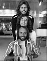 Image 65The British band The Bee Gees were one of the biggest musical acts of the 1970s leading the disco phenomenon (from 1970s in music)