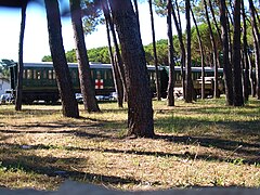 Hospital train cars parked on the grounds of the VIIIth Mobilization Center of Italian Red Cross, near Marina di Massa, Tuscany