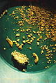 Gold nuggets in a pan also from the Blue Ribbon Mine in Alaska.