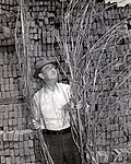 Joe "Daddy Burt" Burton, a recognized top Kentucky hemp farmer with harvested hemp, 1942. Photo by USDA War Board - Lexington, Kentucky.[181]