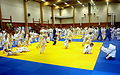 Image 47International judo camp in Artjärvi, Orimattila, Finland (from Judo)