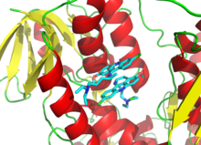 3D cartoon diagram of the trypanothione reductase protein bound to two molecules of inhibitors depicted as a stick diagrams.