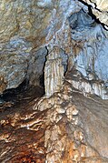 Speleothems in the cave PP1