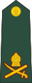 Lieutenant general[48] (Sri Lanka Army)