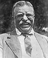 Image 17Theodore Roosevelt (from History of New York (state))