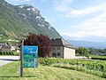 Das Weinbaugebiet Savoie bei Chignin