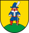 Wappen von Pinnow
