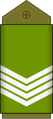 Premier sergent (Land Forces of the DR Congo)