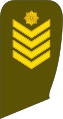 Seržantas majoras (Lithuanian Land Force)[27]