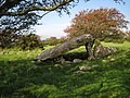 Cors-y-gedol burial chamber
